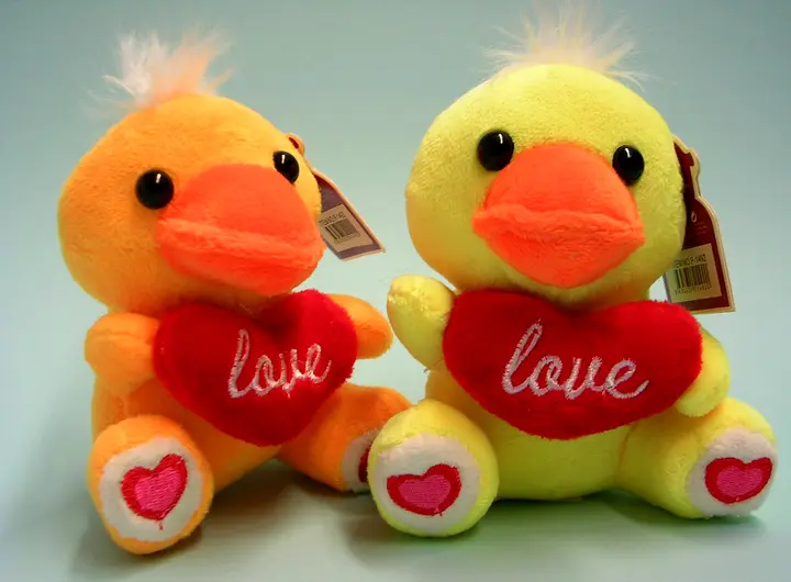 Photo from the official notice: CIUDAD SION TOYS Plüss játék állat soft toys — choking risk