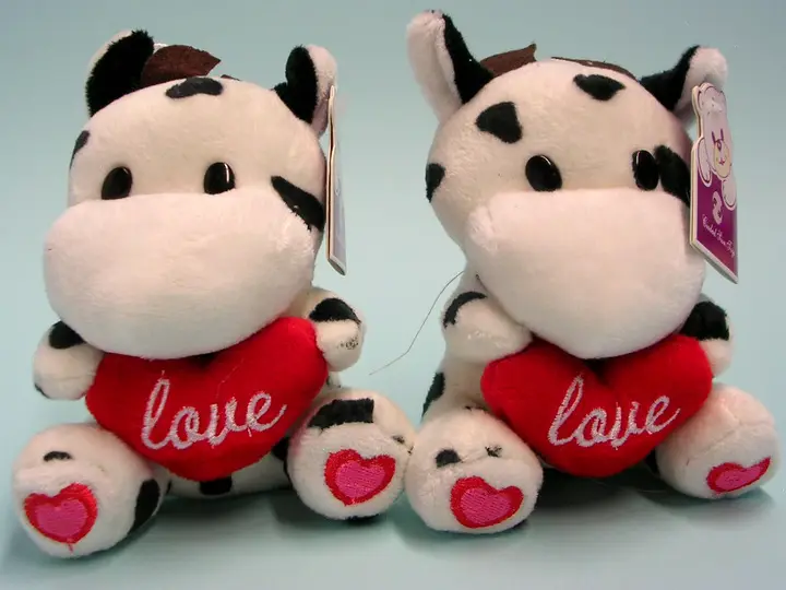 Photo from the official notice: CIUDAD SION TOYS Plüss játék állat soft toys — choking risk
