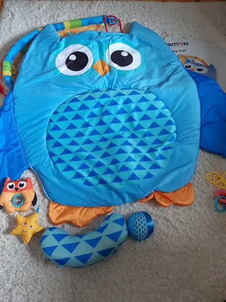 Photo de l’avis officiel: Britton Big Owl Tapis de jeu d’activité — risque: Étouffement