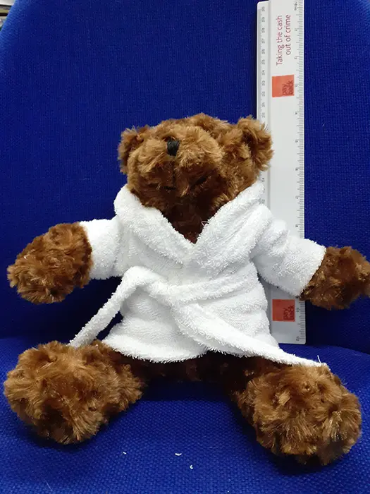 Photo from the official notice: Towelsoft Wellness Teddy with Sewn Eyes and Mini Bathrobe teddy bear — choking risk