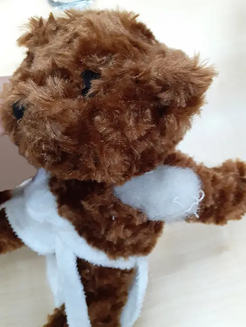 Photo from the official notice: Towelsoft Wellness Teddy with Sewn Eyes and Mini Bathrobe teddy bear — choking risk