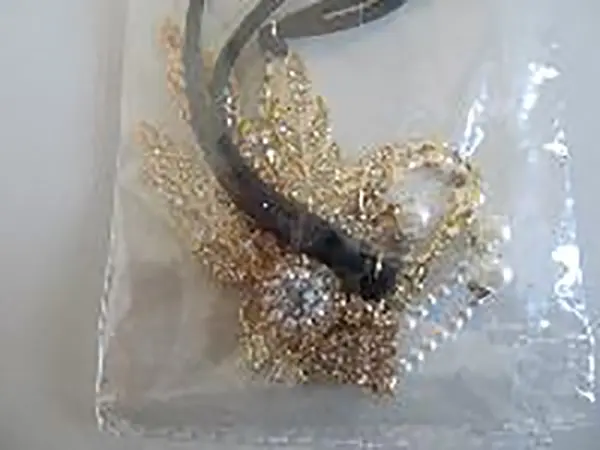 Photo from the official notice: BigLion Mode 20 Jahre Accessoires Flapper Set Stirnband Ohrringe Perlen Halskette Handschuh Zigarettenspitze c — chemical risk