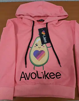 Foto aus der offiziellen Meldung: „Likee“ Kinder Sweatshirt — Risiko: Strangulierung