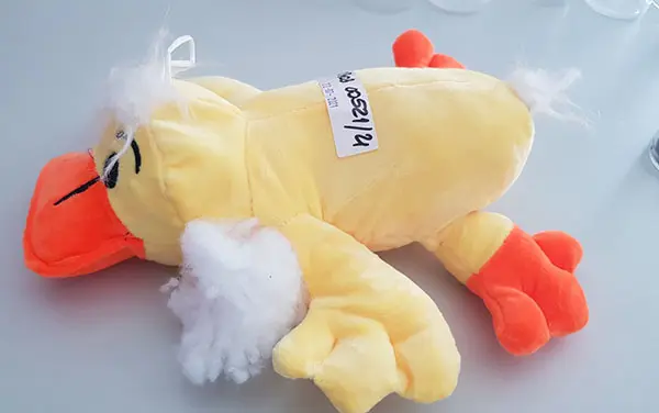Photo de l’avis officiel: Plush duck Jouet doux — risque: Étouffement