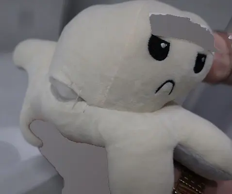 Photo from the official notice: Soft toy — choking risk (A11/00087/21)