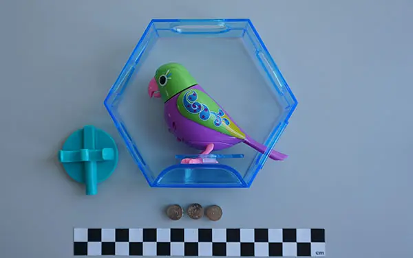 Foto do aviso oficial: Parrot Birds Brinquedo de plástico — risco: Químico & Engasgamento