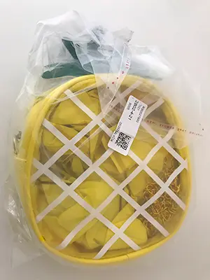 Photo from the official notice: Transparent Jelly Package Crossbody Väska Färsk Ananas Shape Chain Handy Messenger Shoulder Bag plastic handba — chemical & environment risk