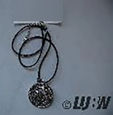 Photo de l’avis officiel: PikaLF Wolf-Halskette für Männer Collier — risque: Risque chimique