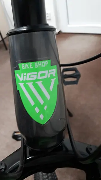 Photo de l’avis officiel: Vigor Mountain bicycle Vélo — risque: Blessures