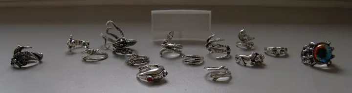 Foto do aviso oficial: LOLIAS LOLIAS 16 Stück Herren Ringe Vintage Punk Öffnung Ringe Octopus Frog Dragon Schlange Punk Ring für D Co — risco: Químico