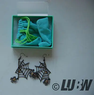 Photo de l’avis officiel: EVER FAITH Halloween Schmuck Damen Kristall Lebendige Spinne Spinnennetz Tier Haken Ohrringe Klar Silber-Ton B — risque: Risque chimique