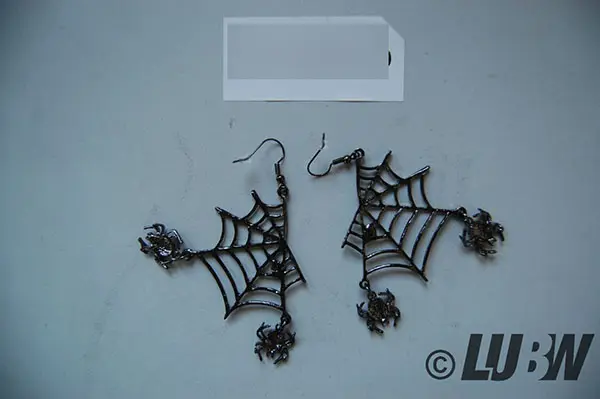 Photo de l’avis officiel: EVER FAITH Halloween Schmuck Damen Kristall Lebendige Spinne Spinnennetz Tier Haken Ohrringe Klar Silber-Ton B — risque: Risque chimique