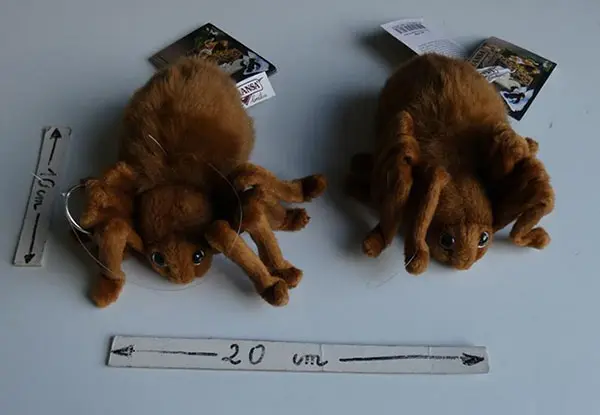 Foto aus der offiziellen Meldung: HANSA Peluche araignée brune 15 cm ou noire Weiches Spielzeug — Risiko: Ersticken & Strangulierung