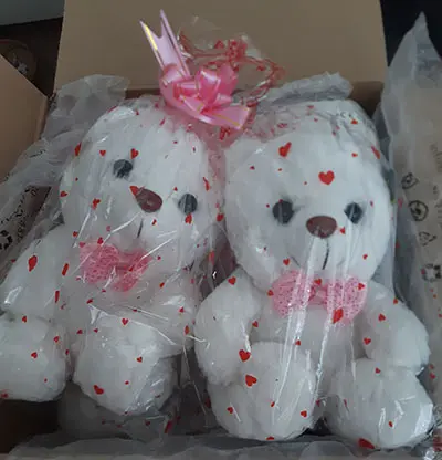 Foto do aviso oficial: Svítící medvídek Brinquedo da pilha — risco: Ambiente