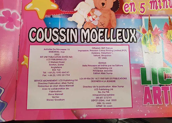 Foto dell’avviso ufficiale: Activités de Princesses Lunettes de soleil Occhiali da sole — rischio: Danno alla vista
