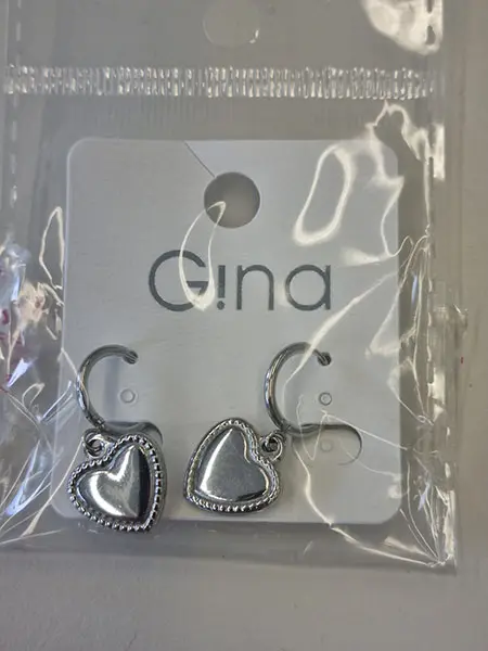 Foto dell’avviso ufficiale: Gina Orecchini — rischio: Rischio chimico