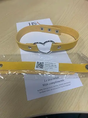 Photo de l’avis officiel: Yellow punk Leather Neck Chain Collar Heart Love Col du cou — risque: Risque chimique