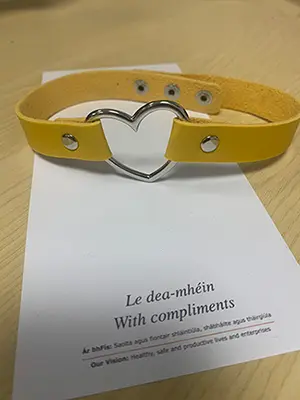 Photo de l’avis officiel: Yellow punk Leather Neck Chain Collar Heart Love Col du cou — risque: Risque chimique