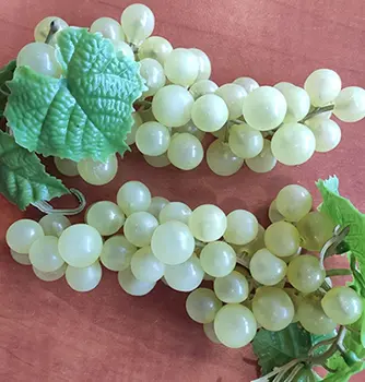 Foto aus der offiziellen Meldung: GREEN VÍNO ZELENÉ Dekorative Traube — Risiko: Ersticken