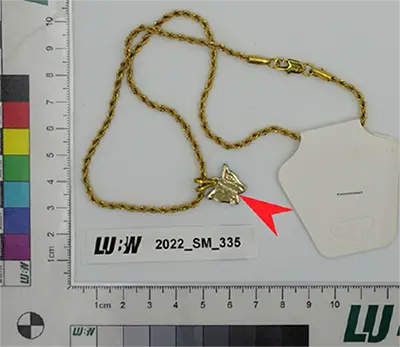 Photo de l’avis officiel: Chaîne avec pendentif — risque: Risque chimique (INFO/00026/23)