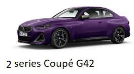 Photo from the official notice: BMW. BMW 2 series coupe, M2 passenger car — injuries risk