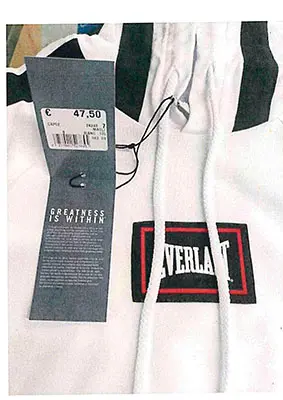 Foto do aviso oficial: EVERLAST EVERLAST Sweatshirt para crianças — risco: Ferimentos & Estrangulamento