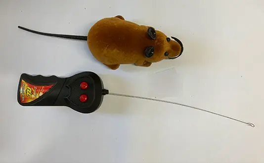 Foto dell’avviso ufficiale: Mouse giocattolo con telecomando — rischio: Ambiente