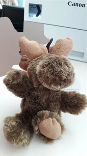 Photo de l’avis officiel: La compagnie des marmottes Renne Jouet doux — risque: Étouffement