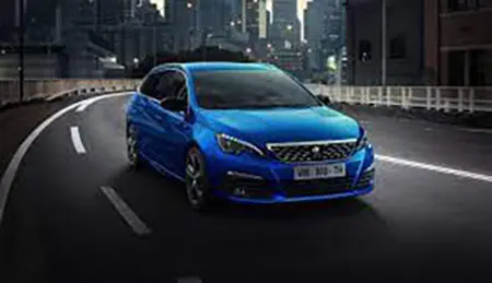 Zdjęcie z oficjalnego zgłoszenia: Peugeot 208, 2008, 301, 308, 3008, 508, 5008, Boxer, Rifter, Partner, Traveller, Expert Samochód/samochód osob — ryzyko: Środowisko
