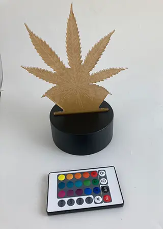 Photo de l’avis officiel: Creative 3D visualization lamp Lampe — risque: Risque chimique & Environnement