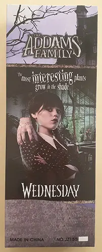 Foto do aviso oficial: THE ADDAMS FAMILY WEDNESDAY 3+ Boneca de plástico — risco: Químico