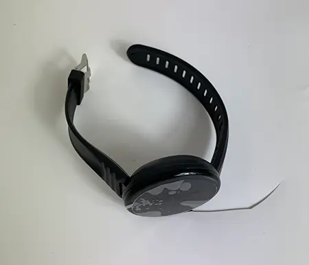 Photo from the official notice: Not specified Digital watch PRO 23 — environment risk