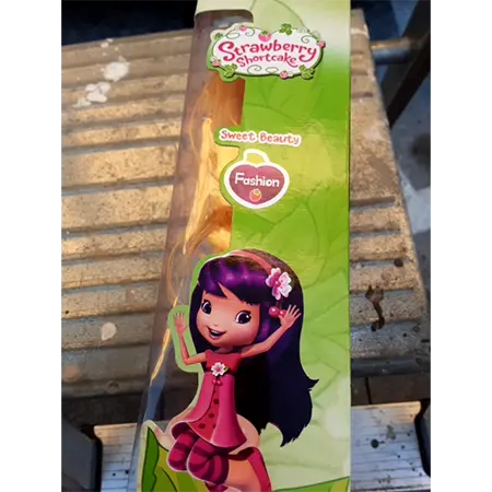 Foto dell’avviso ufficiale: Fashion Strawberry Shortcake - Sweet Beauty Doll Bambola di plastica — rischio: Rischio chimico