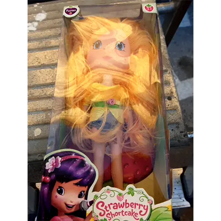 Foto dell’avviso ufficiale: Fashion Strawberry Shortcake - Sweet Beauty Doll Bambola di plastica — rischio: Rischio chimico