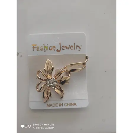 Photo de l’avis officiel: Broche — risque: Risque chimique (INFO/00033/24)