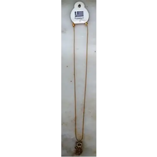 Photo de l’avis officiel: Collier — risque: Risque chimique (INFO/00035/24)