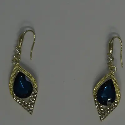 Photo de l’avis officiel: Boucles — risque: Risque chimique (A12/00417/24)