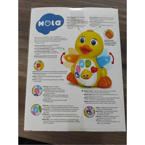 Foto uit de officiële melding: HOLA Dancing duck Eendenspeeltje — risico: Milieu