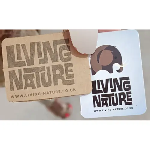 Photo de l’avis officiel: LIVING NATURE PELUCHE BRACHIOSAURUS Jouet doux — risque: Étouffement
