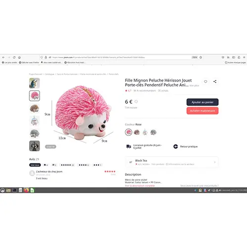 Foto dell’avviso ufficiale: Fille Mignon Peluche Hérisson Jouet Porte-clés Pendentif Peluche Animal Fourrure Voiture Cadeau Joue Portachia — rischio: Ostruzione delle vie aeree