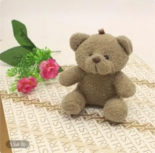 Photo de l’avis officiel: Animaux Poupée Bébé Jouet pour Enfants Soft Bear Doll Bear Peluche Toys Peluche Bear Keyring Peluche Jouet sou — risque: Étouffement