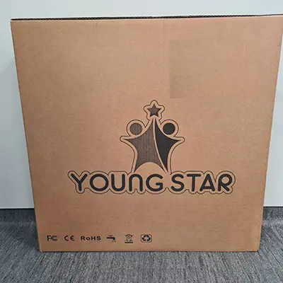 Photo de l’avis officiel: Young Star Baby Walker Promenade-bébé — risque: Blessures