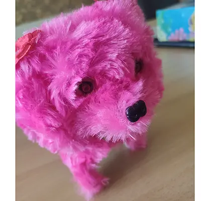 Photo de l’avis officiel: Jouet de chien — risque: Étouffement