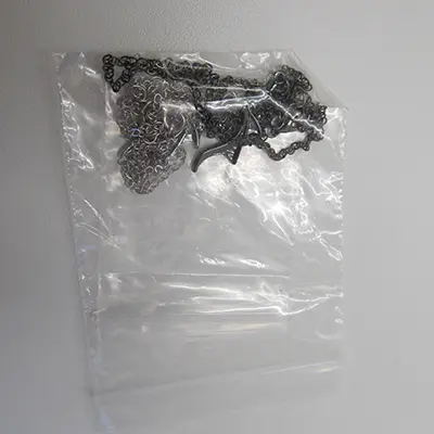 Photo de l’avis officiel: Collier — risque: Risque chimique (A12/01560/24)