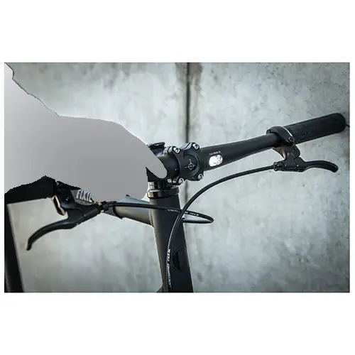Photo de l’avis officiel: Fixie Inc. Backspin Zehus Vélo électrique — risque: Incendie