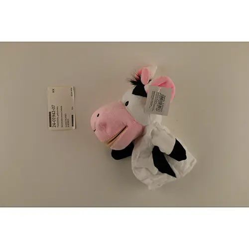 Photo de l’avis officiel: Ensemble de jouets souples — risque: Étouffement