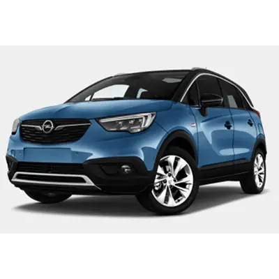 Photo from the official notice: Opel/Vauxhall Astra L, Corsa, Crossland X, Mokka passenger car — environment risk