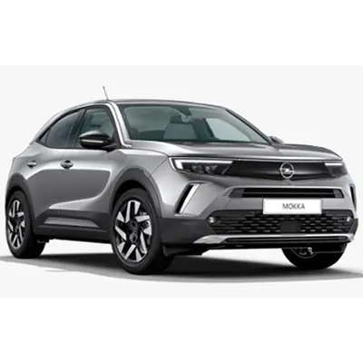 Photo from the official notice: Opel/Vauxhall Astra L, Corsa, Crossland X, Mokka passenger car — environment risk