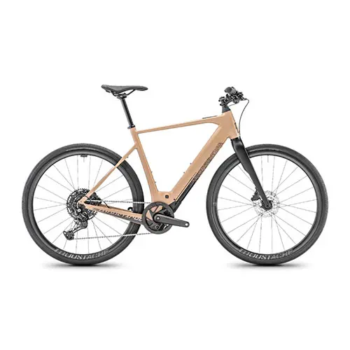 Photo de l’avis officiel: Moustache Bikes Vélo électrique — risque: Blessures