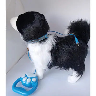 Photo de l’avis officiel: ASPIC Jouet de chien — risque: Étouffement